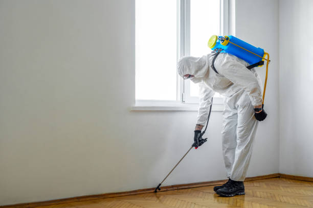 Pest Control for Warehouses in Cudahy, CA